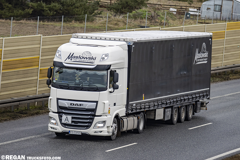 DAF XF116 - Masłowski.jpg
