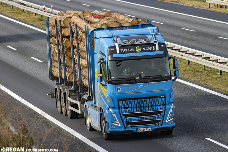 Volvo FH5 Tartak Moniś.jpg