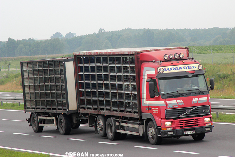 Volvo FH12 - Bomadek.jpg