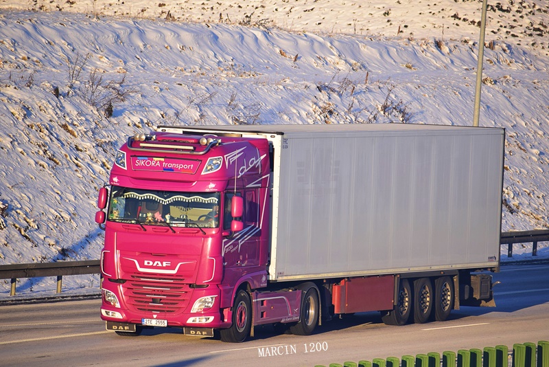 _DSC9014-crop-Sikora Transport-DAF XF 106 II.JPG