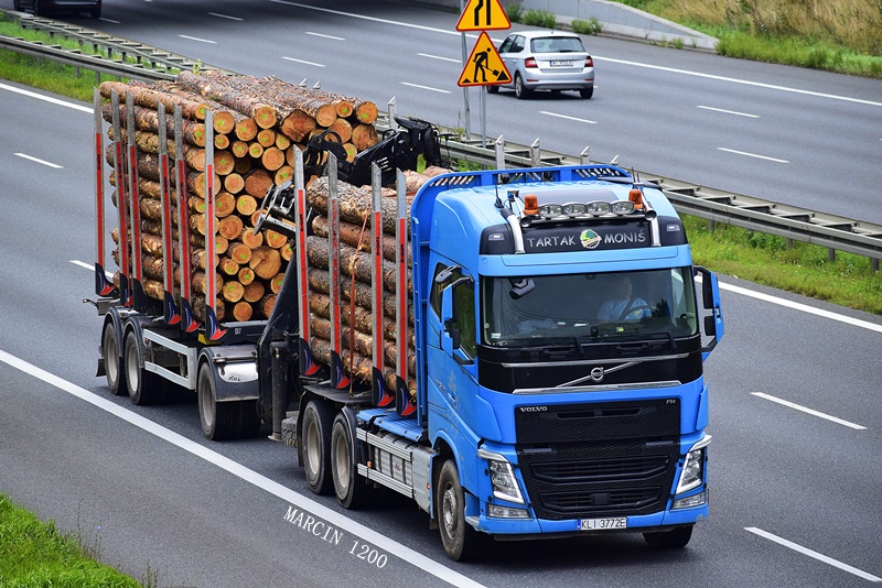 _DSC6931-crop-TARTAK MONIŚ-VOLOV FH IV.JPG