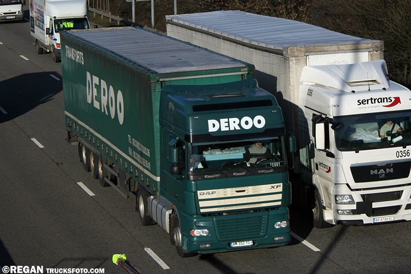 DAF XF95 - Deroo.jpg