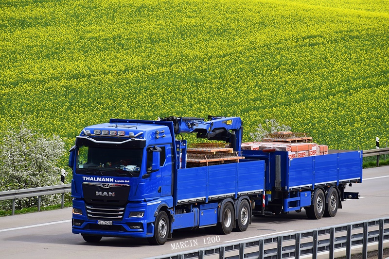 _DSC1864-crop-THALMANN-MAN TGX II.JPG