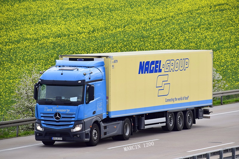 _DSC1371-crop-BORK TRANSPORTE-Mercedes-Benz Actros MP4.JPG