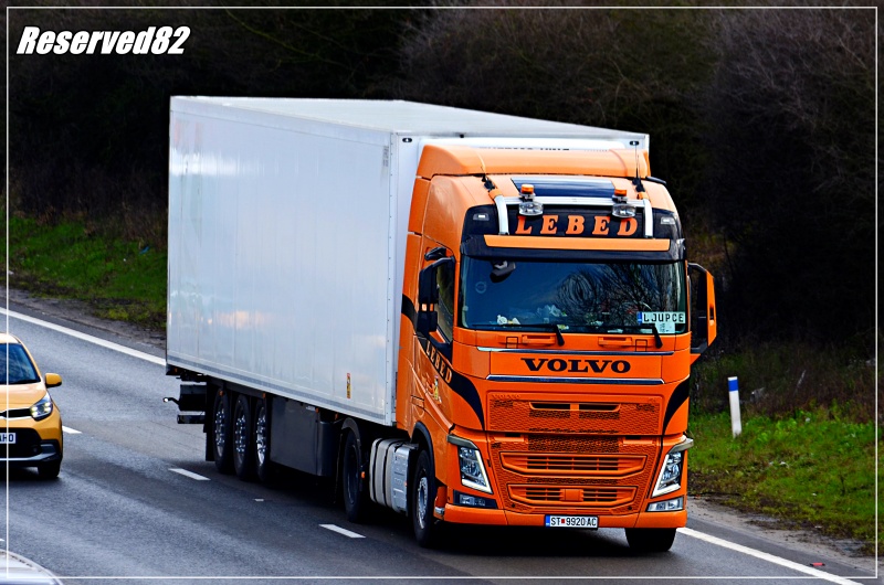 DSC_8853.JPG Lebed.JPG