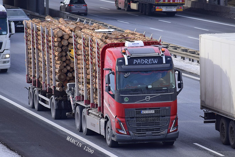 _DSC9101-crop-Padrew-VOLVO FH V.JPG