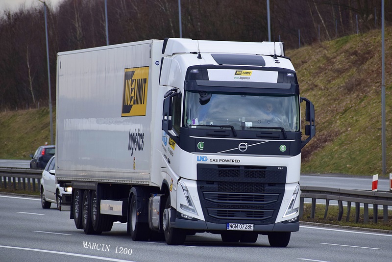 _DSC9950-crop-No Limit-VOLVO FH V.JPG