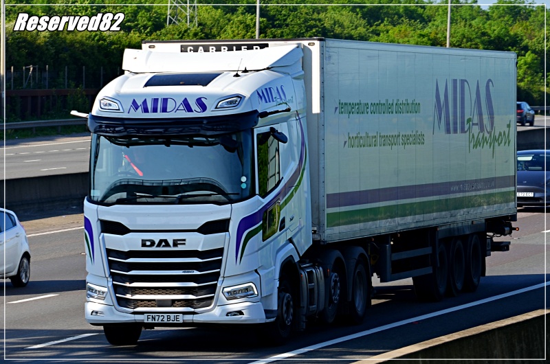 DSC_6028.JPG Midas.JPG