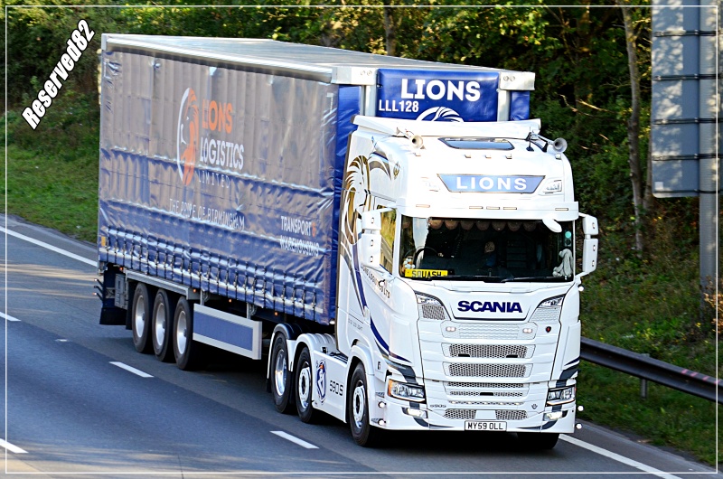 DSC_2324.JPG Lions.JPG