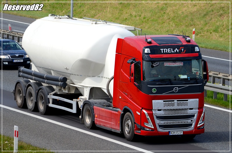 DSC_9735.JPG Trela.JPG