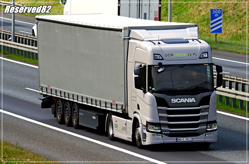 DSC_0032.JPG Domogod24.JPG