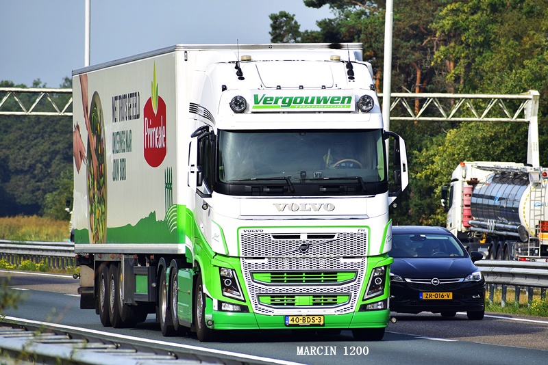 _DSC8276-crop-Vergouwen-VOLVO FH IV.JPG