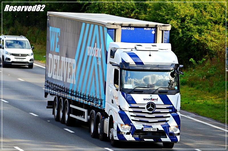 DSC_5638.JPG Woodland.JPG