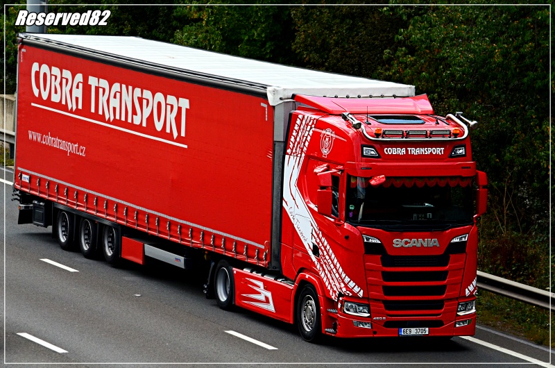 DSC_5984.JPG Cobra transport.JPG