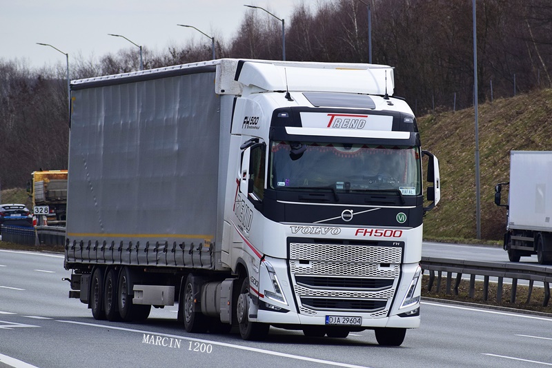 _DSC9907-crop-TREND-VOLVO FH V-WIELTON.JPG