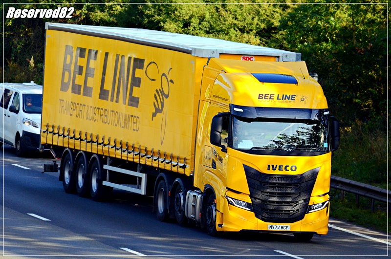 DSC_7714.JPG Bee line.JPG