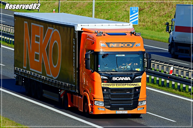 DSC_6075.JPG Neko.JPG