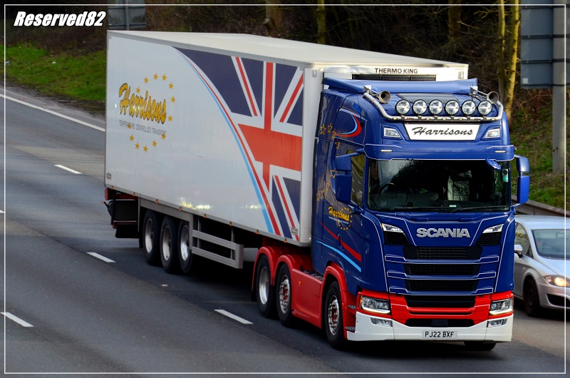 DSC_8393.JPG Harrisons.JPG