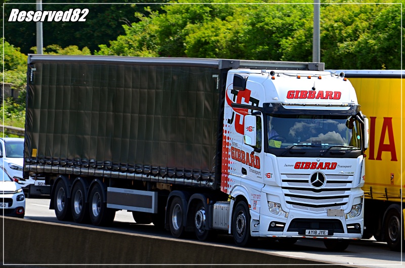 DSC_7466.JPG Gibbard.JPG