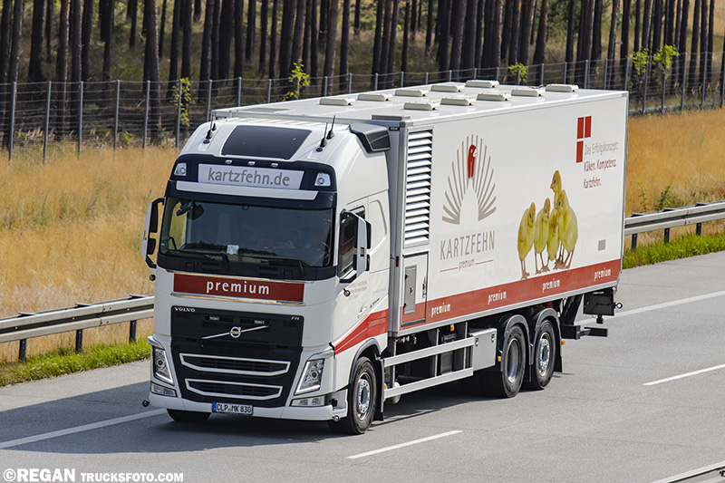 Volvo FH4 - Kartzfehn.jpg