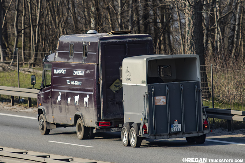 Mercedes-Benz Vario.jpg