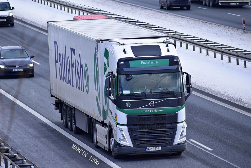 _DSC9031-crop-Volvo FH V - Paula Fish-Schmitz Cargobull.JPG