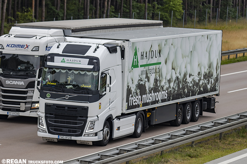 Volvo FH4 - Hajduk.jpg