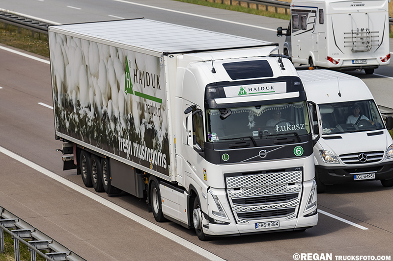 Volvo FH5 - Hajduk.jpg