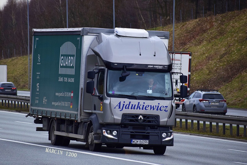 _DSC9977-crop-Renault D-Ajdukiewicz.JPG