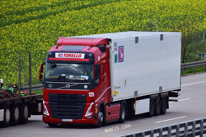 _DSC2479-crop-Torello-VOLVO FH V.JPG