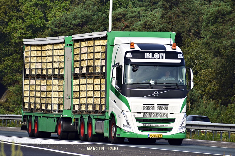 _DSC8234-crop-BLOM-VOLVO FH V.JPG