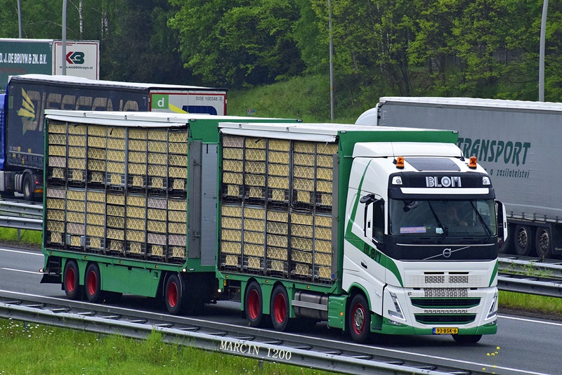 _DSC4154-crop-BLOM-VOLVO FH V.JPG
