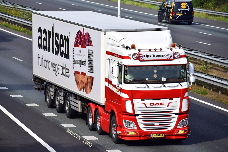_DSC8375-crop-Lips Transport-DAF XF 106 II.JPG
