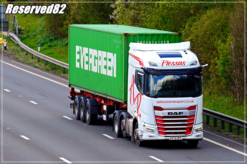 DSC_4911.JPG Plessas.JPG