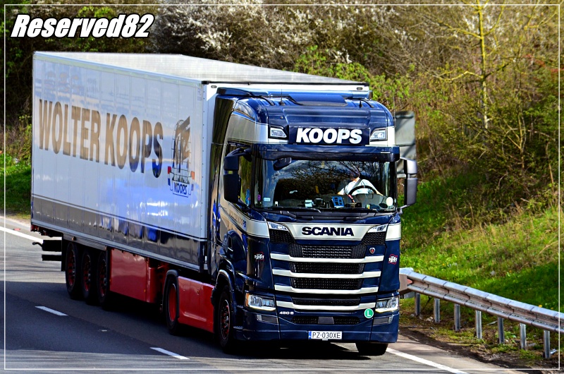 DSC_4804.JPG Wolter Koops.JPG