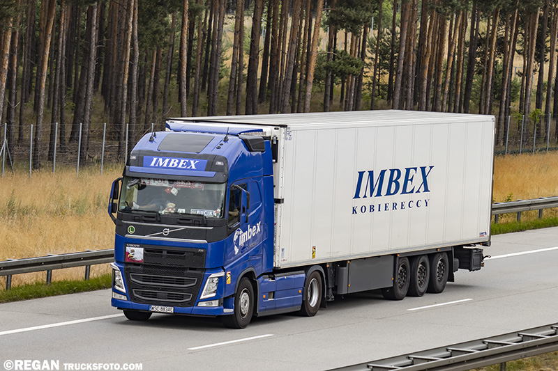 Volvo FH4 Imbex.jpg