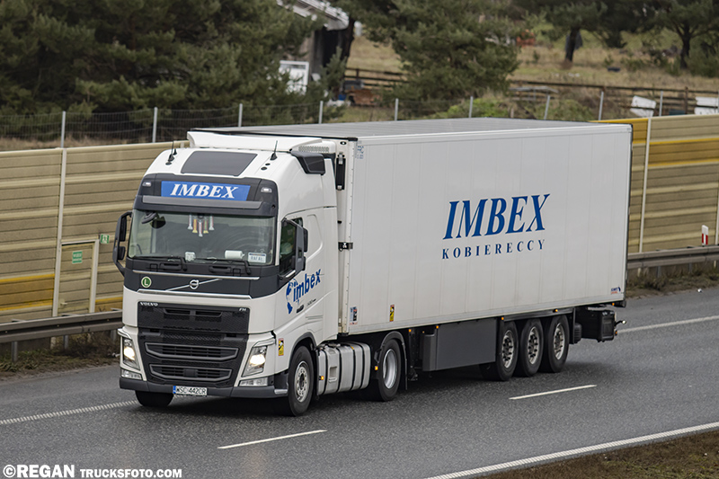 Volvo FH4 - Imbex.jpg