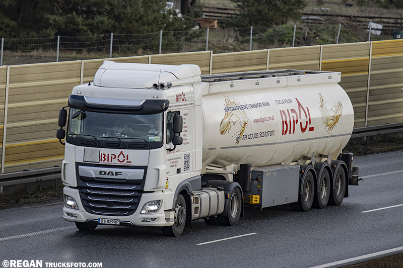 DAF XF -  Bipol.jpg