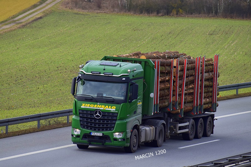 _DSC9586-crop-Ziegenbalg-Mercedes-Benz Arocs II.JPG