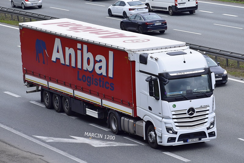 _DSC0885-crop-Anibal Logistics-Mercedes-Benz ActrosL MP5.JPG