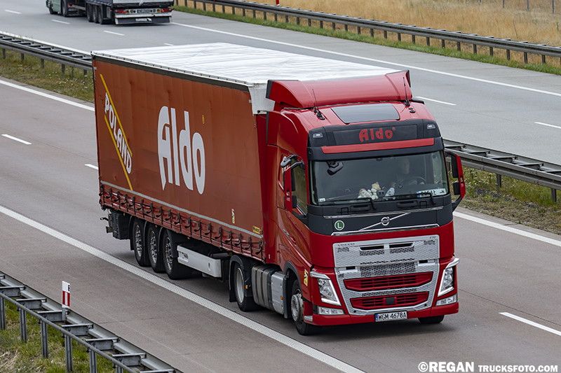 Volvo FH4 Aldo.jpg
