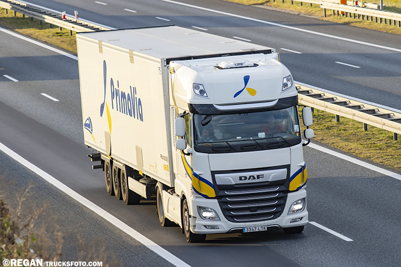 DAF XF - Primafrio.jpg