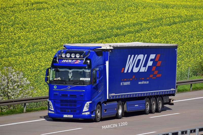 _DSC2263-crop-Wolf-VOLVO FH IV.JPG