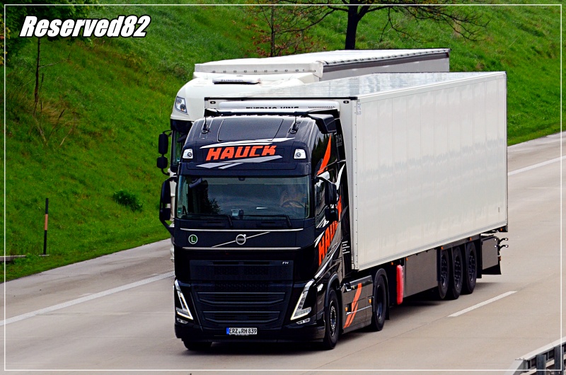 DSC_8908.JPG Hauck D.JPG