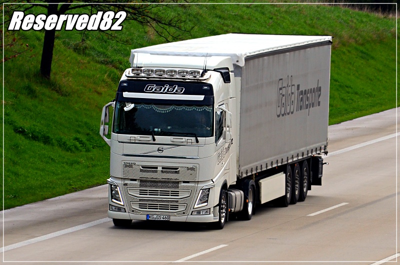 DSC_8829.JPG Gaida D.JPG