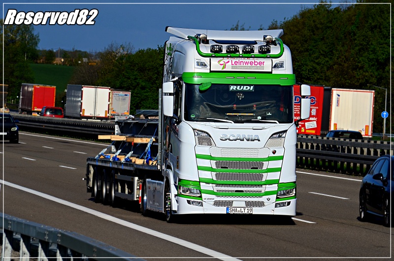 DSC_4070.JPG Leinweber  A4 Drezno.JPG