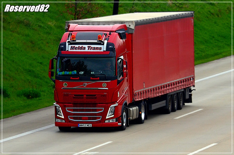 DSC_9140.JPG Melda trans.JPG