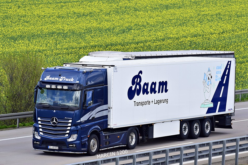 _DSC2197-crop-BAAM-Mercedes-Benz Actros MP4.JPG
