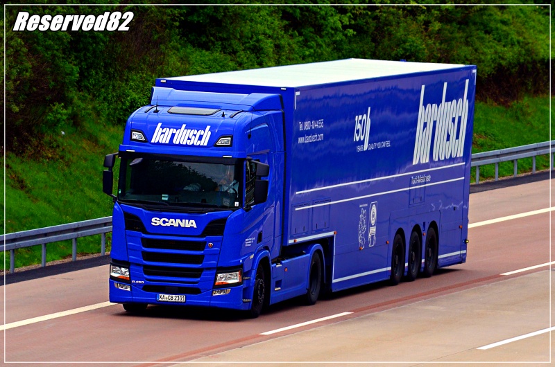 DSC_9916.JPG bardusch Drezno.JPG