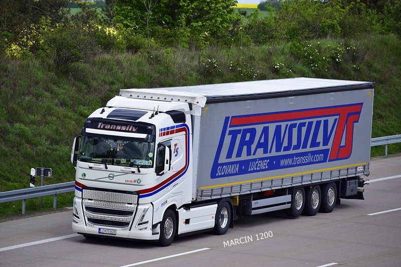 _DSC1973 TRANSSILV-crop-VOLVO FH V.JPG
